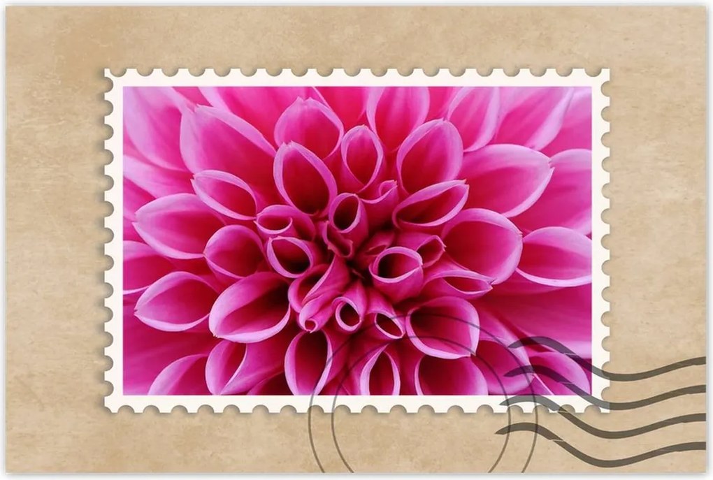 Poszterek 90x60 Liliom