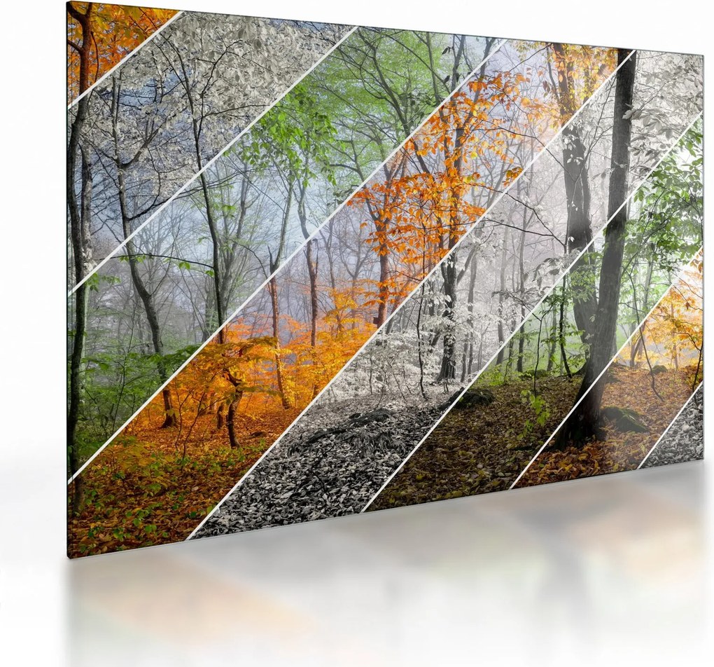 Kép - Változó évszakok (üvegen) (70x50 cm)