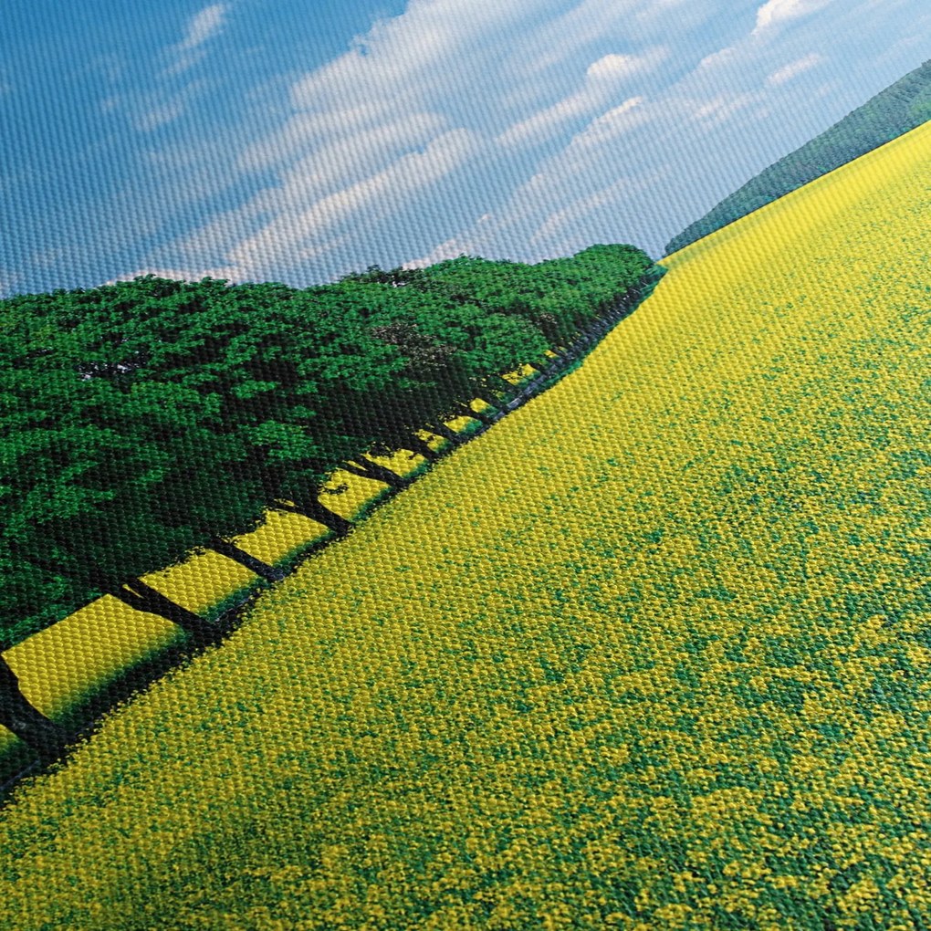 A mező képe egy sikátorral (90x60 cm)