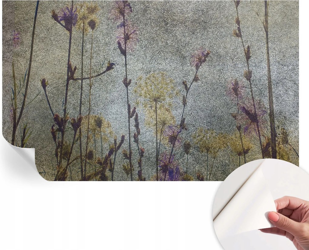 Dekoratív öntapadós fotótapéta Hálószobába Mezei virágok 416x254 cm