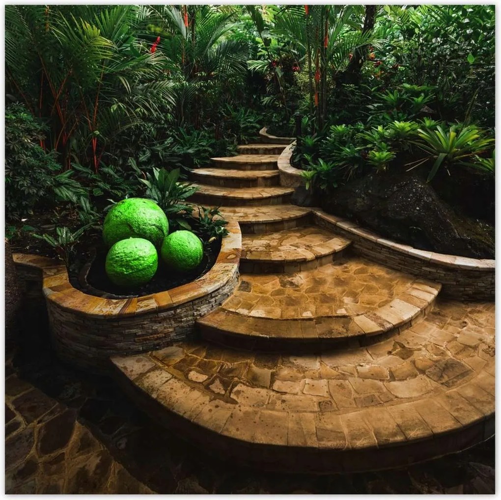 Poszterek 30x30 Golyók a trópusokon