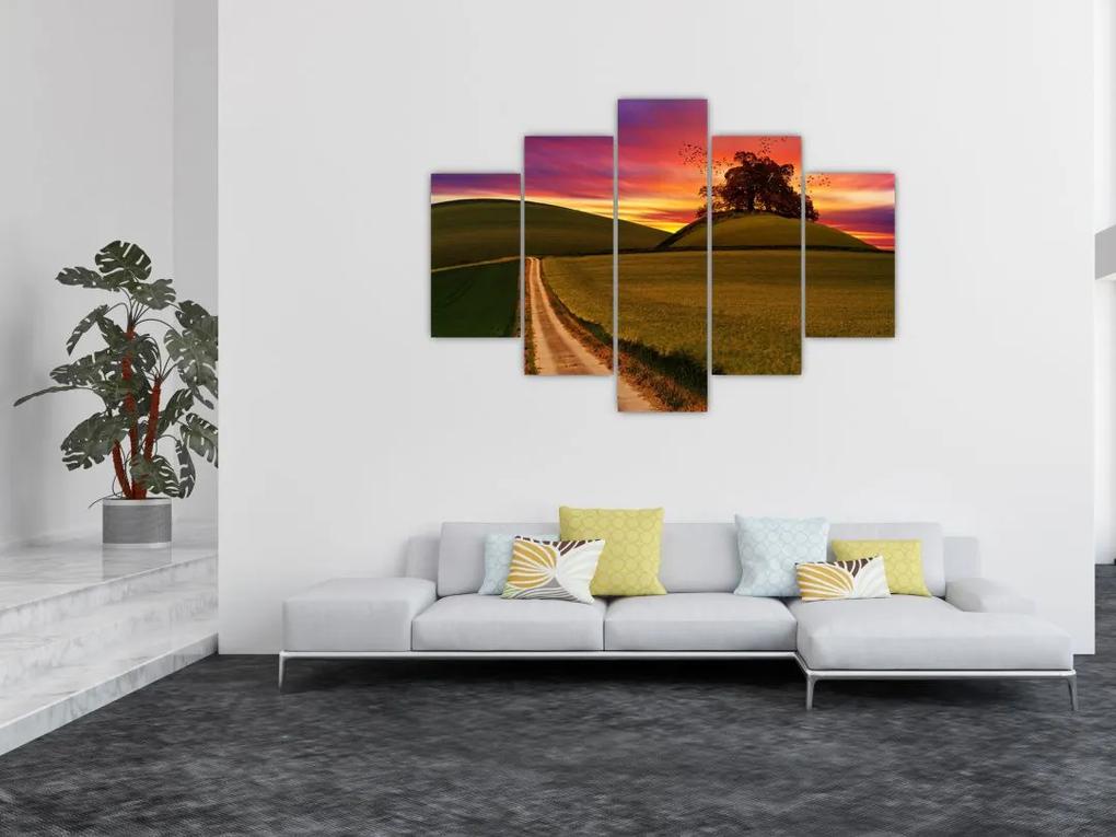 Mezei naplemente képe (150x105 cm)