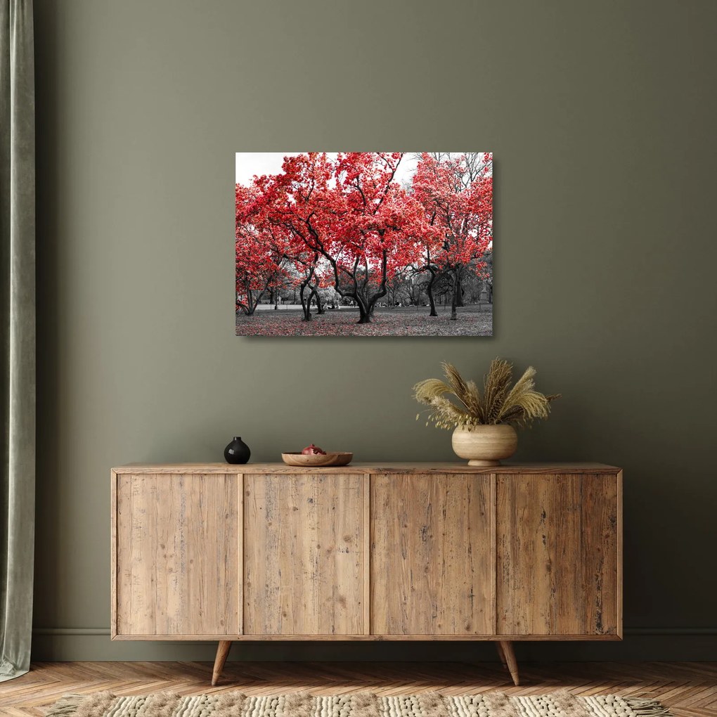 Kép - vörös fák, Central Park, New York (üvegen) (70x50 cm)