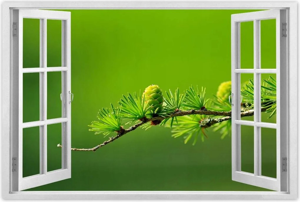 Poszterek 90x60 Fa Kilátás