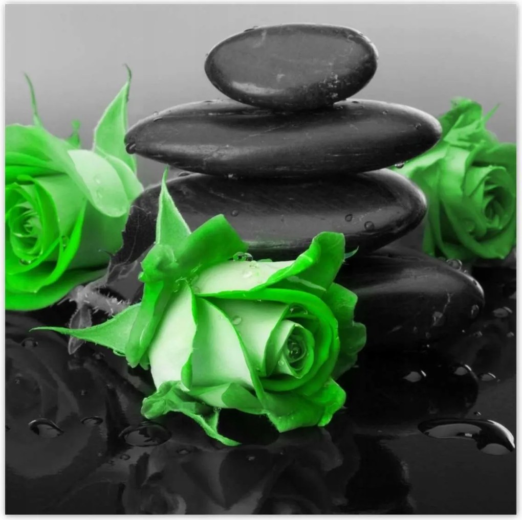 Poszterek 140x140 Zöld rózsavirágok