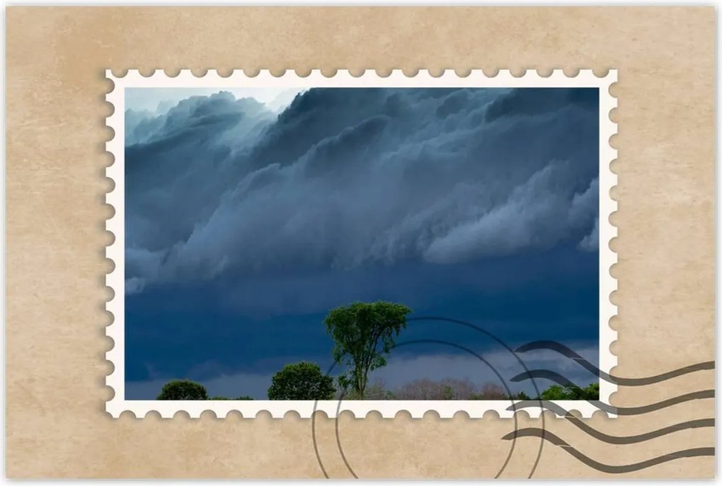 Poszterek 90x60 Kukoricamező Fák