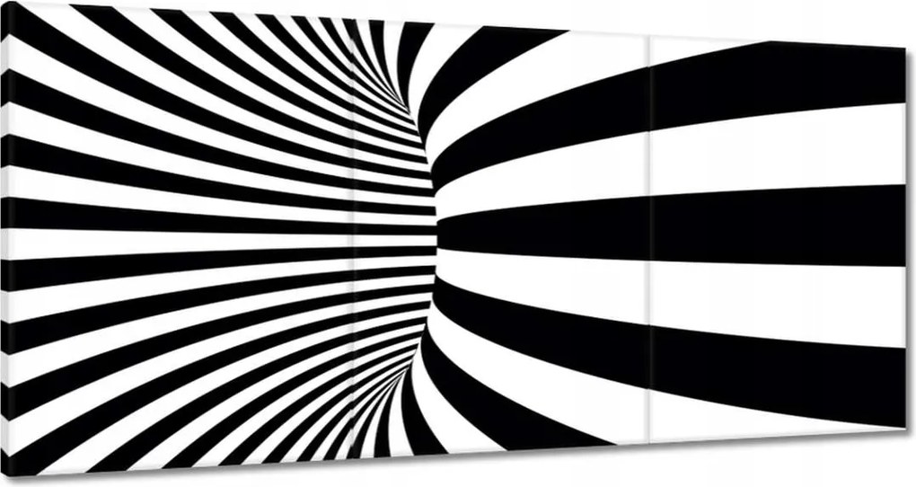 Festmények 180x90 Absztrakt fekete-fehér