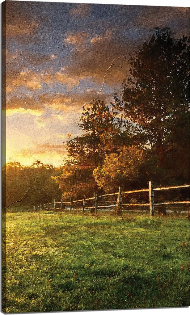 Vászonkép Nap Tájkép Vidéki fák Rét 60x100 cm