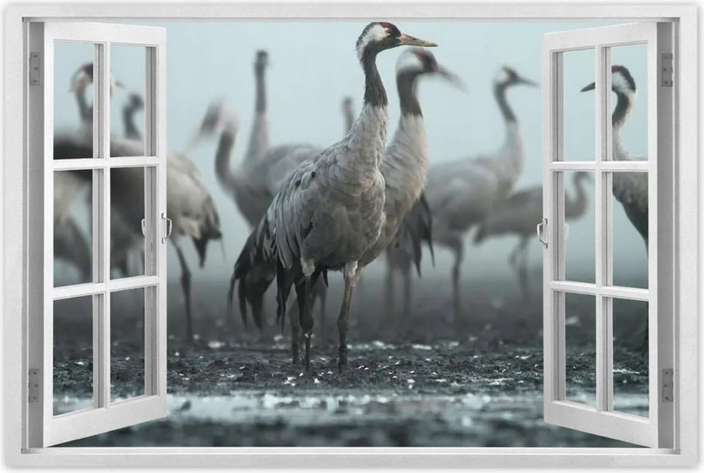 Poszterek 90x60 Darvak a ködben