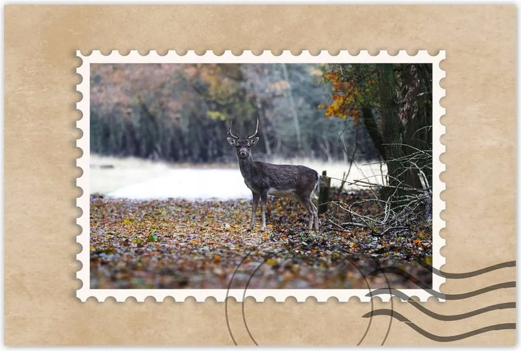 Poszter 60x40 Szarvas az erdőben Erdő