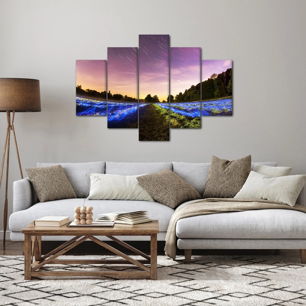 Színes mező képe (150x105 cm)
