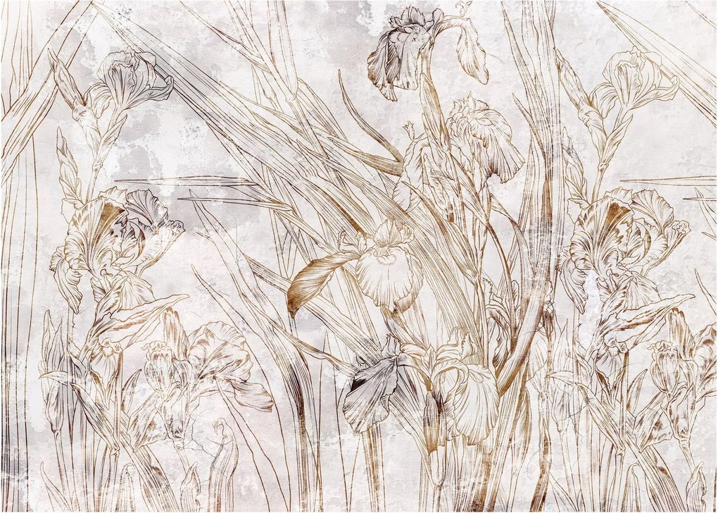 Kép - íriszek (70x50 cm)