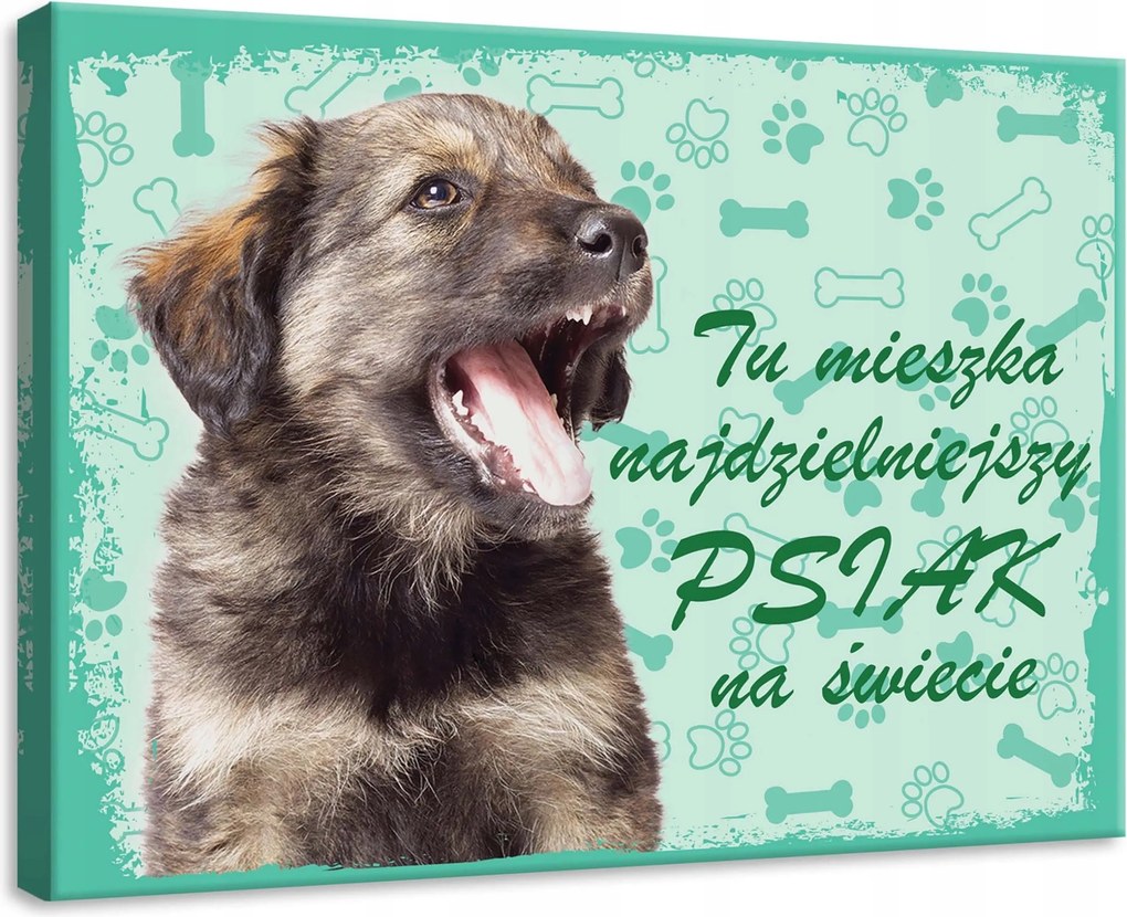 Vászonkép 70x50 Kiskutya kutya portré öröm játék csont mancsok türkiz pozitív