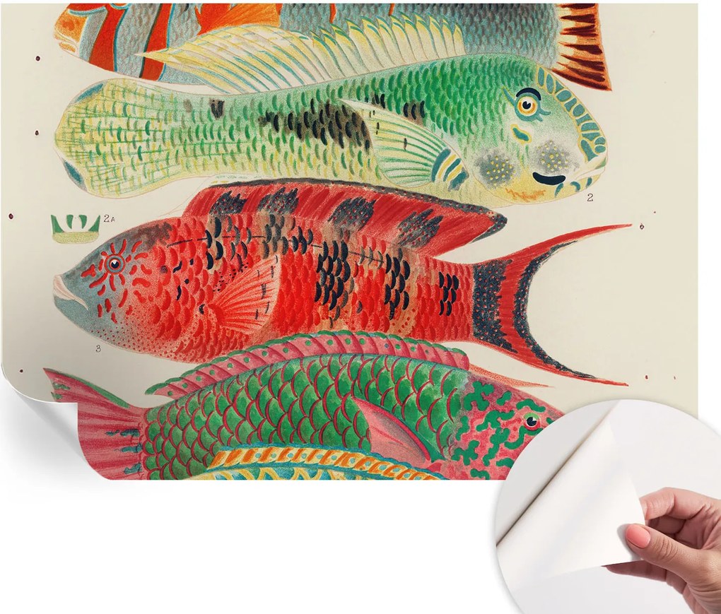 Modern öntapadós fali fotótapéta Egzotikus halak 152x104 cm