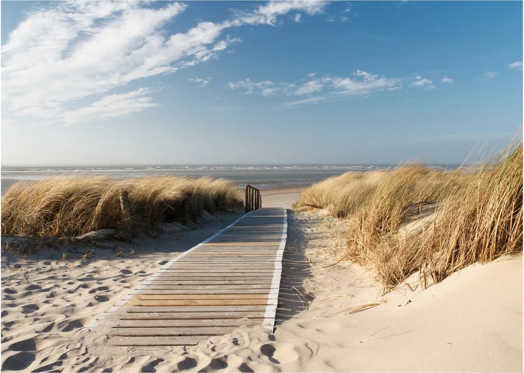Kép - Homokos strand Langeoog szigetén, Németországban (üvegen) (70x50 cm)