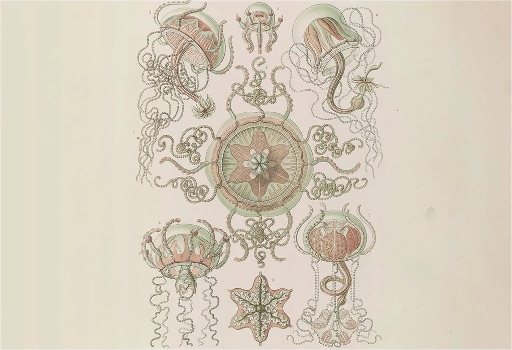 Fotótapéta Flizelin Tapéta Hálószoba és Nappali Víz alatti világ 152x104