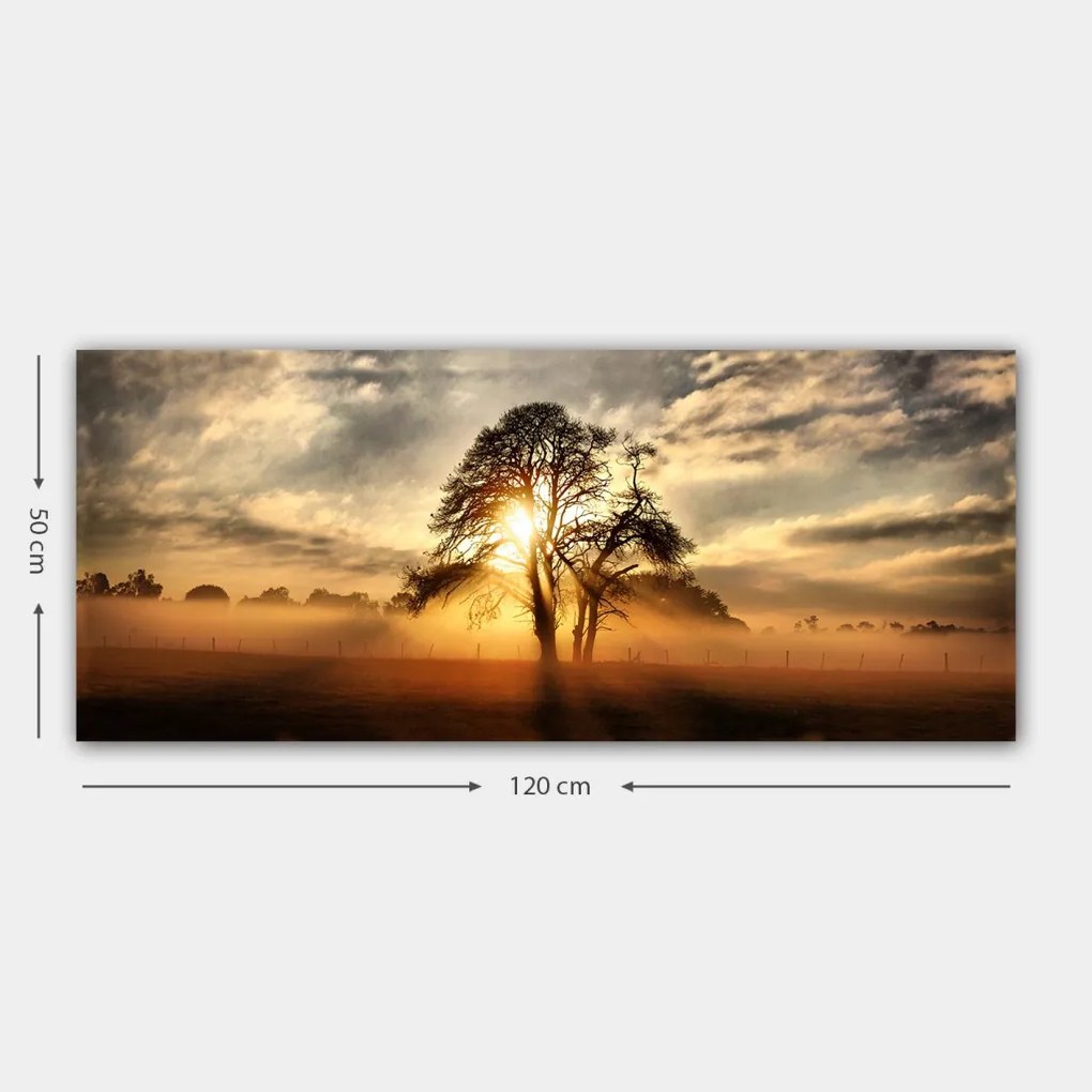 Vászonkép, 50×120 cm – TR451ERN1826