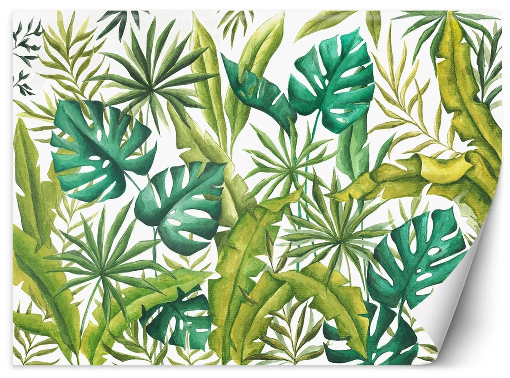 Gario Fotótapéta Zöld monstera fehér alapon Anyag: Vlies, Méret: 100 x 70 cm