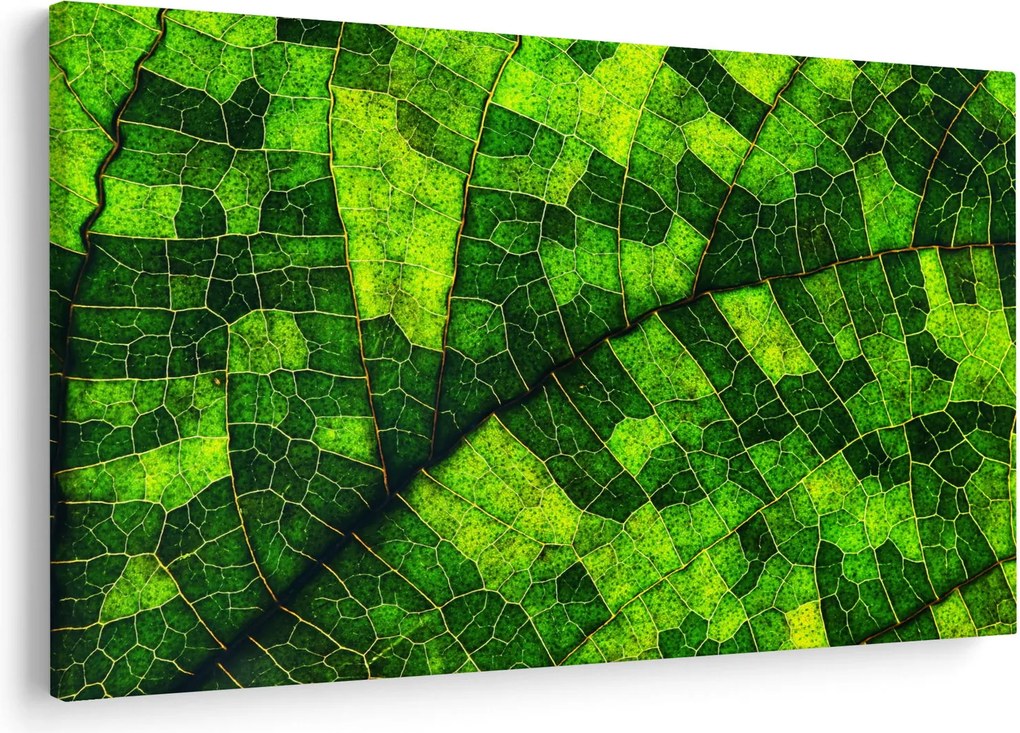 Kép - A lap részlete (90x60 cm)