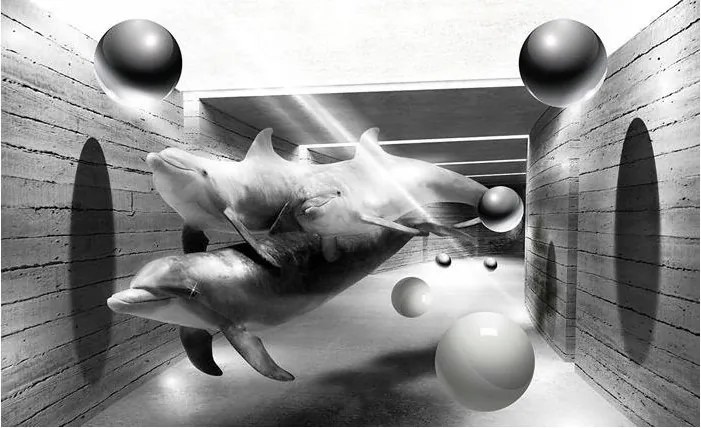 Fotótapéta absztrakt delfinek fotótapéta 416 x 254