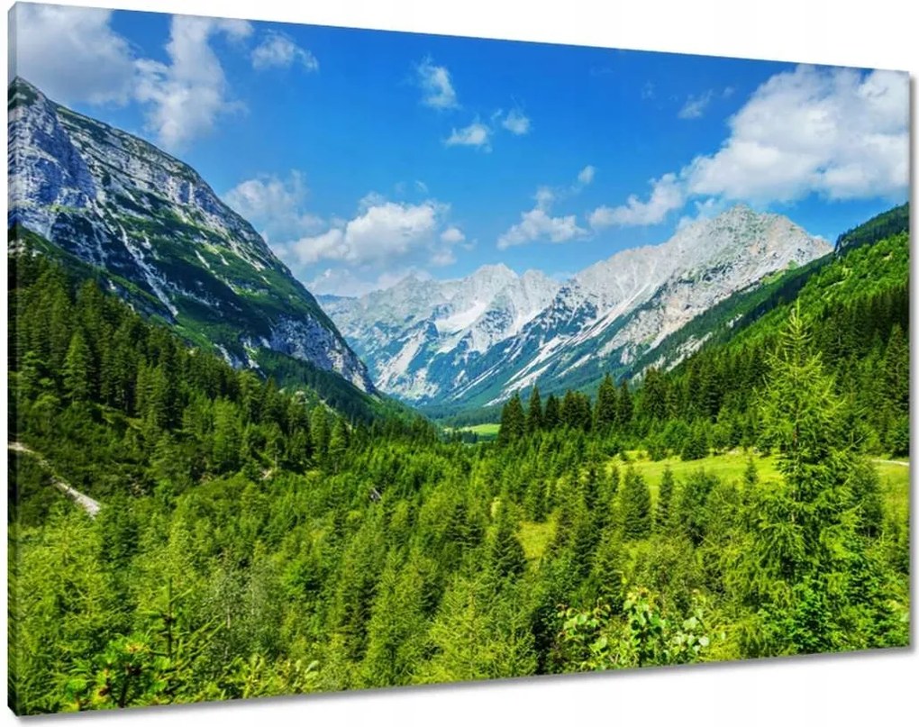 Vászonkép 100x70 Hegyi táj gyönyörű felhőkkel Fák a hegyekben