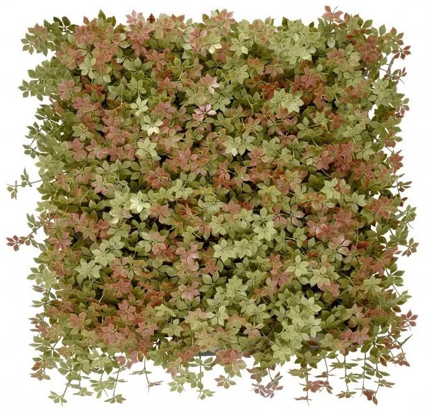 Jiaogulan műanyag zöldfal 50x50 cm