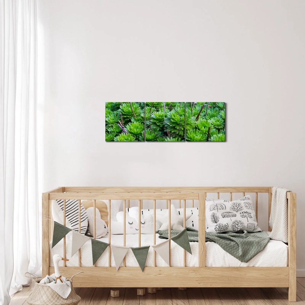 A pozsgás növények képe (órával) (90x30 cm)