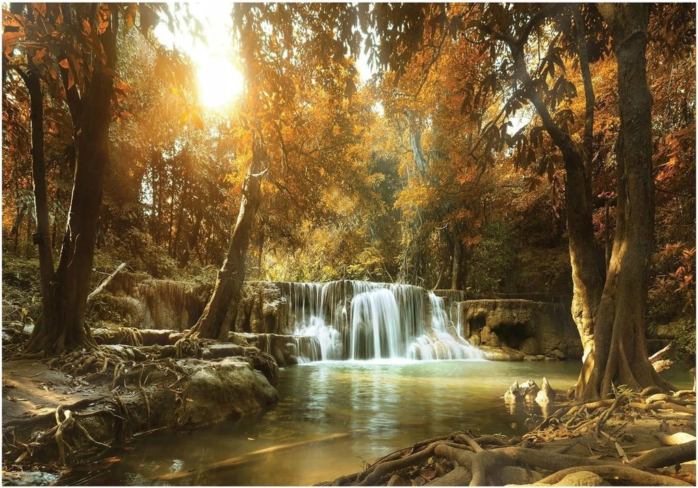 3D fotótapéta vízesés erdő fák nap 312 x 219 10470VEXXL