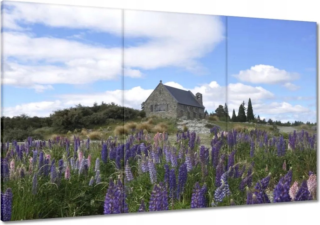 Vászonkép 120x80 Lila virágok domb