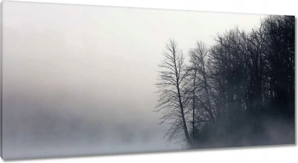 Vászonkép 115x55 Ködös erdő Tél