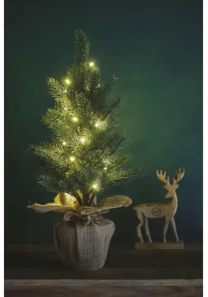 LED Karácsonyi dekoráció 20xLED/3xAA