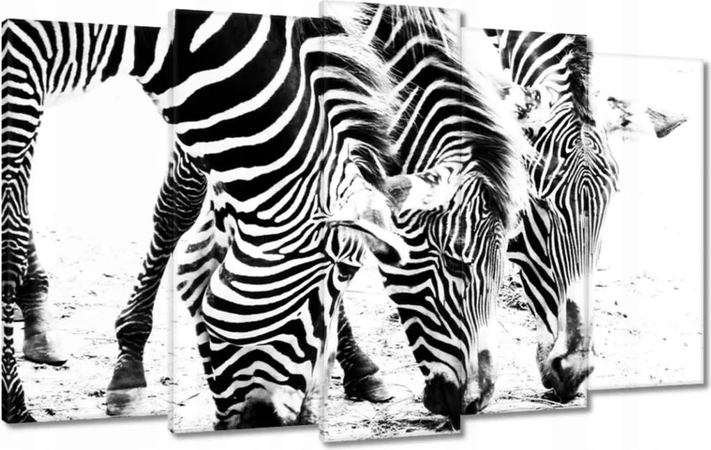 Vászonkép 100x60 Zebra csíkok