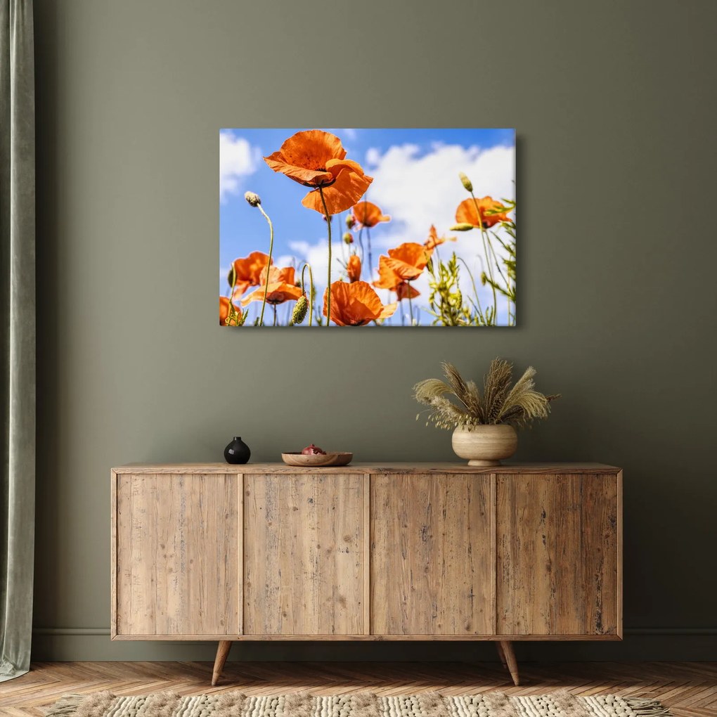 Pipacsok képe (90x60 cm)