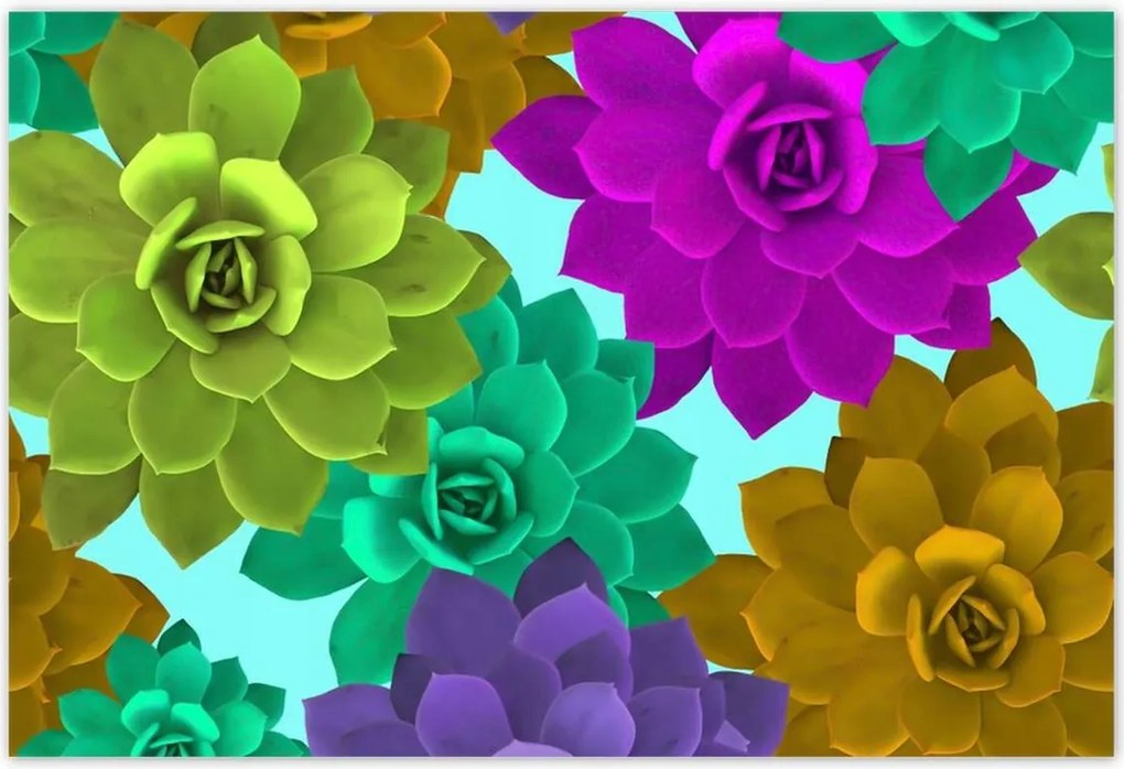 Poszterek 200x135 Színes virágok Virágok