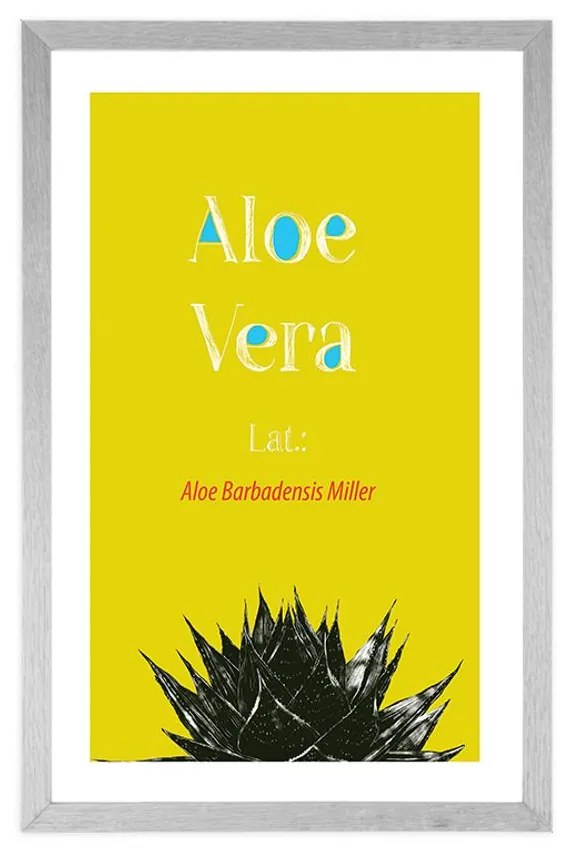 Poszter paszportuval csodás  Aloe Vera