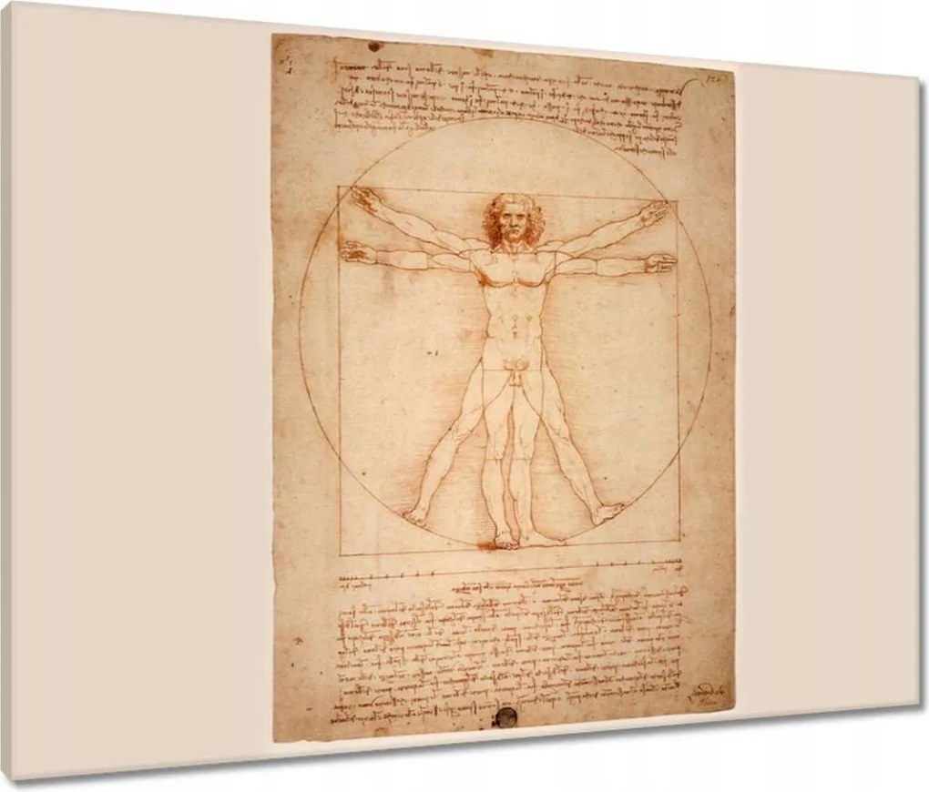 Vászonkép 80x60 Vitruvius ember