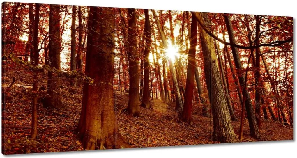 Festmények 120x60 Tájkép Látvány