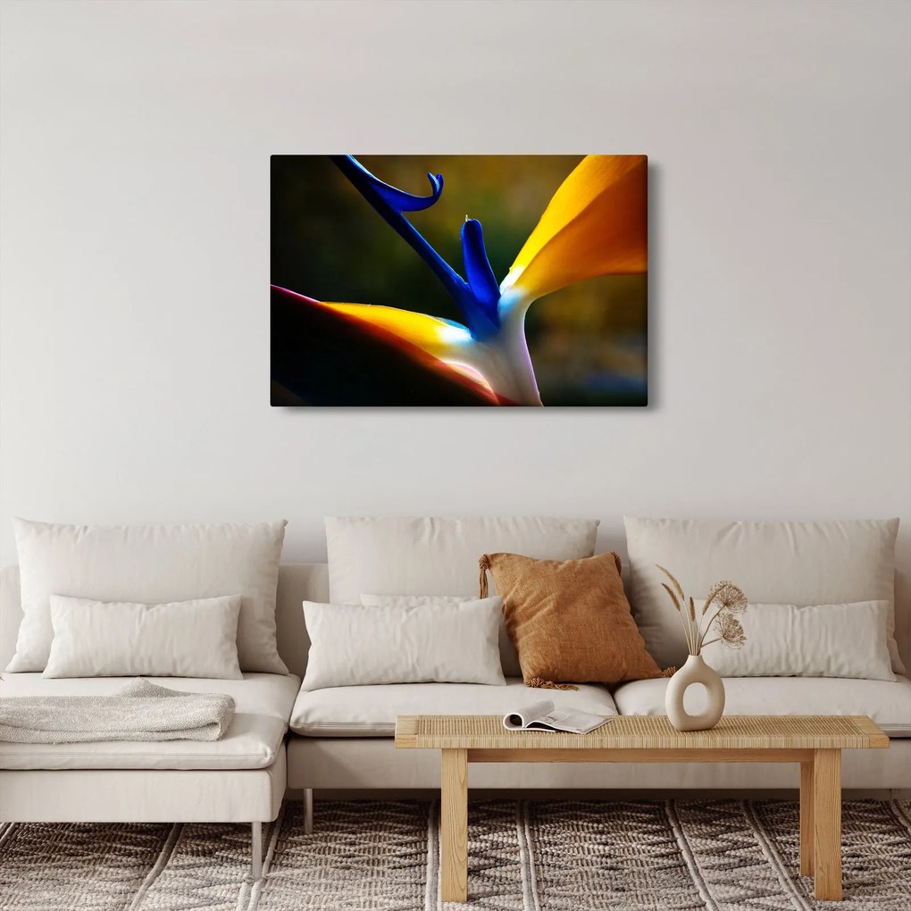 Kép - Egzotikus virág (90x60 cm)