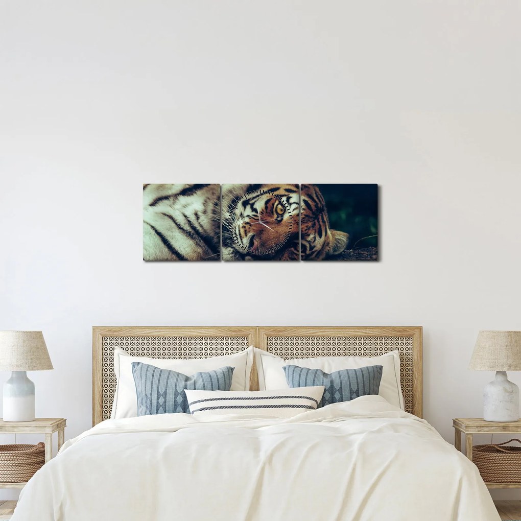 Kép - Szibériai tigris (órával) (90x30 cm)