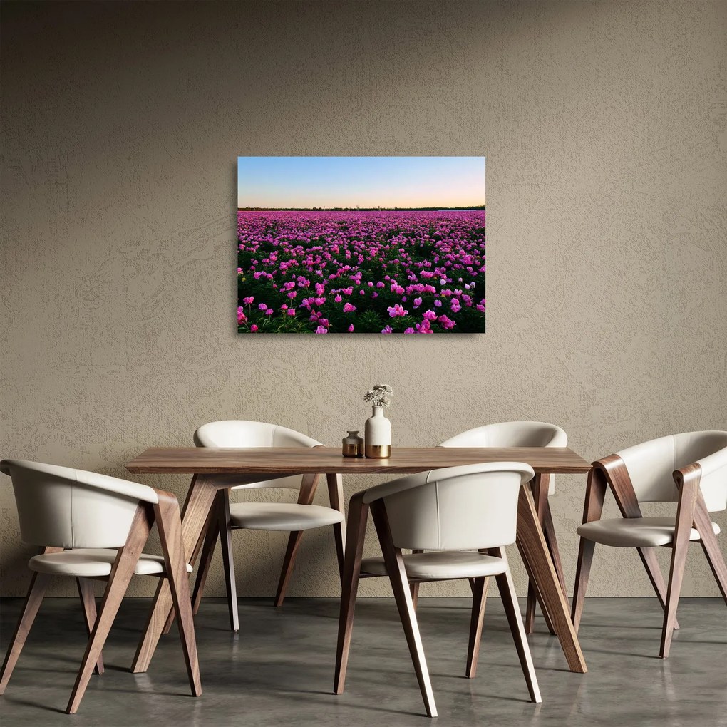 Kép - lila tulipánok rétje (üvegen) (70x50 cm)