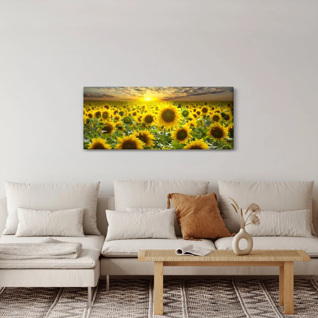 Kép - Napraforgók naplementében (120x50 cm)