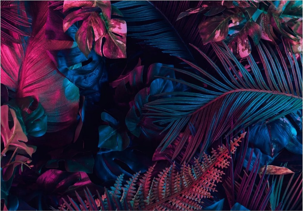 Fotótapéta Sötét Dzsungel Monster levelek 254x184