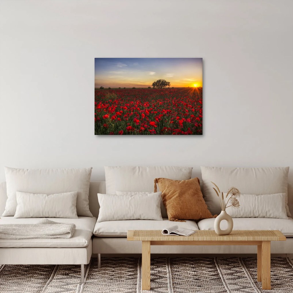 Pipacsos rét képe (70x50 cm)