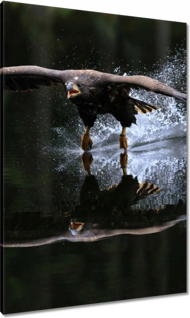 Vászonkép 70x100 Madarak