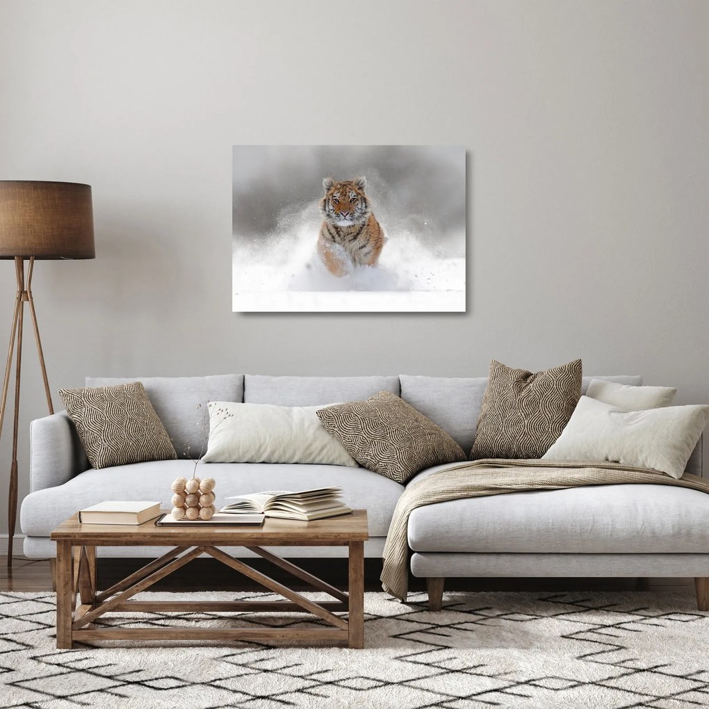 Futó tigris a hóban képe (üvegen) (70x50 cm)
