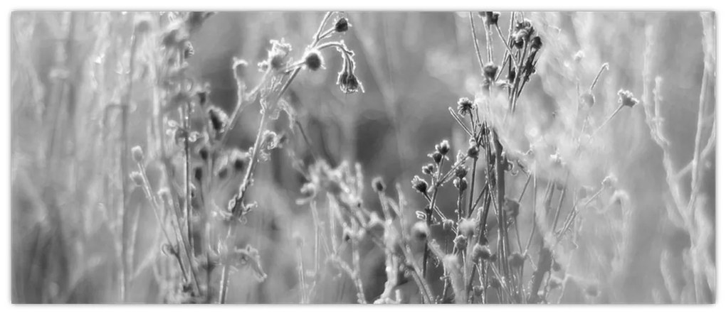 Kép - Wild Meadow (120x50 cm)