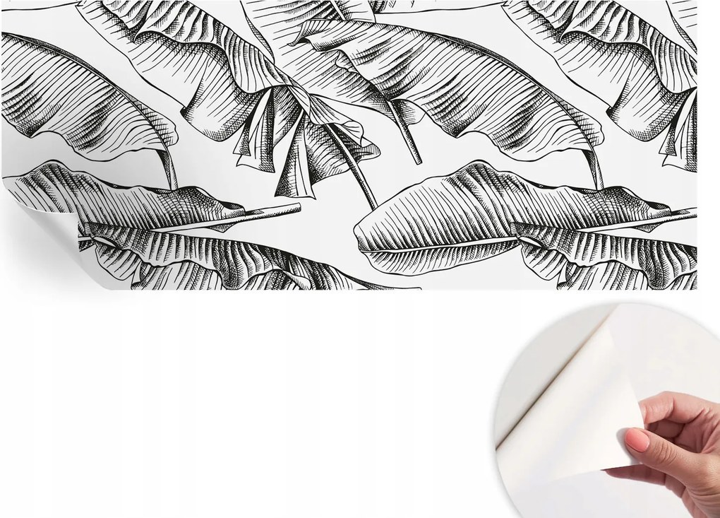 Öntapadós fotótapéta a konyhába Mosható Banán levelek 250x104 cm