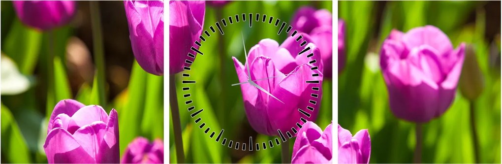 Tulipánok a réten képe (órával) (90x30 cm)