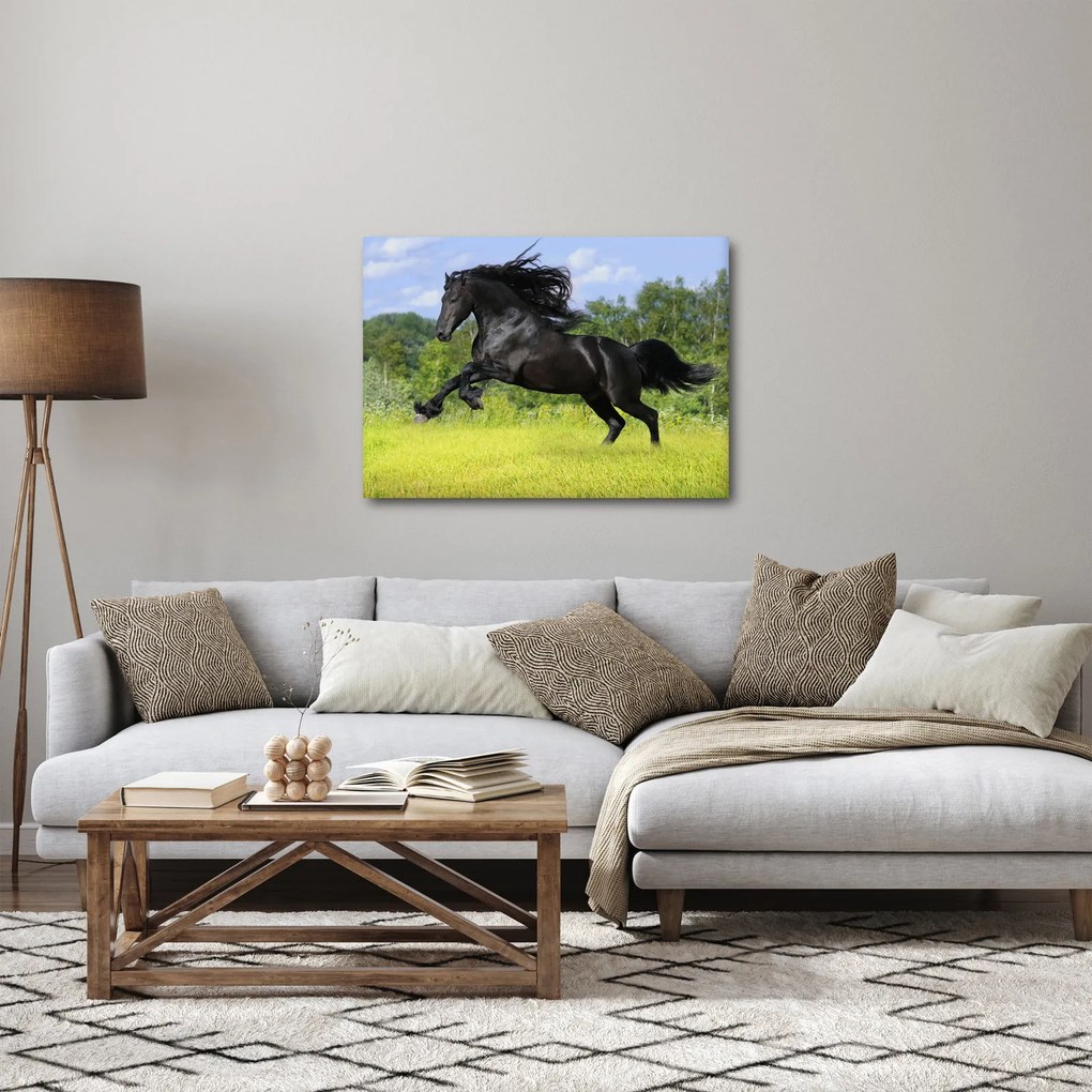 Kép - Ló hullámzó sörénnyel (70x50 cm)