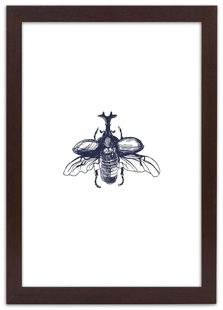 Gario Poszter Repülo bogár A keret színe: Barna, Méret: 70 x 100 cm